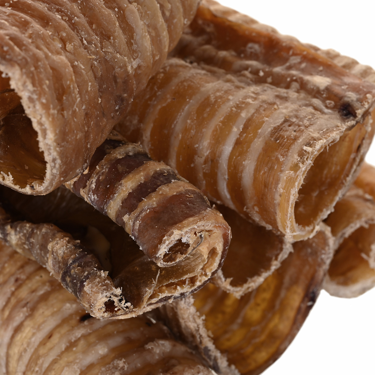 PETITTO Beef trachea - pamlsek pro psa - 1kg - foto 3