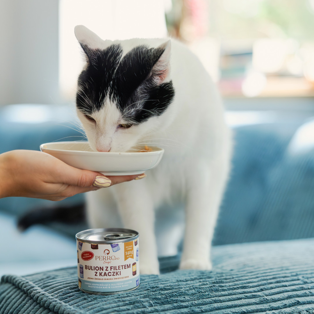 PERRO PERROland Soups Broth with duck fillet Mono - pamlsek pro psy a kočky - 140 g - foto 2