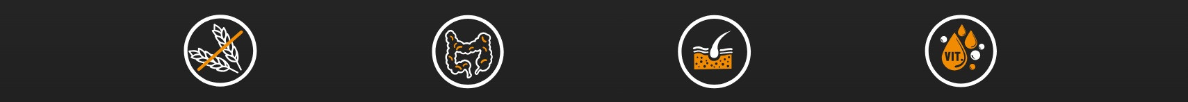 BIOFEED Tasty Dogs Life Junior Veal - vlhké krmivo pro psy - 150g - foto 1