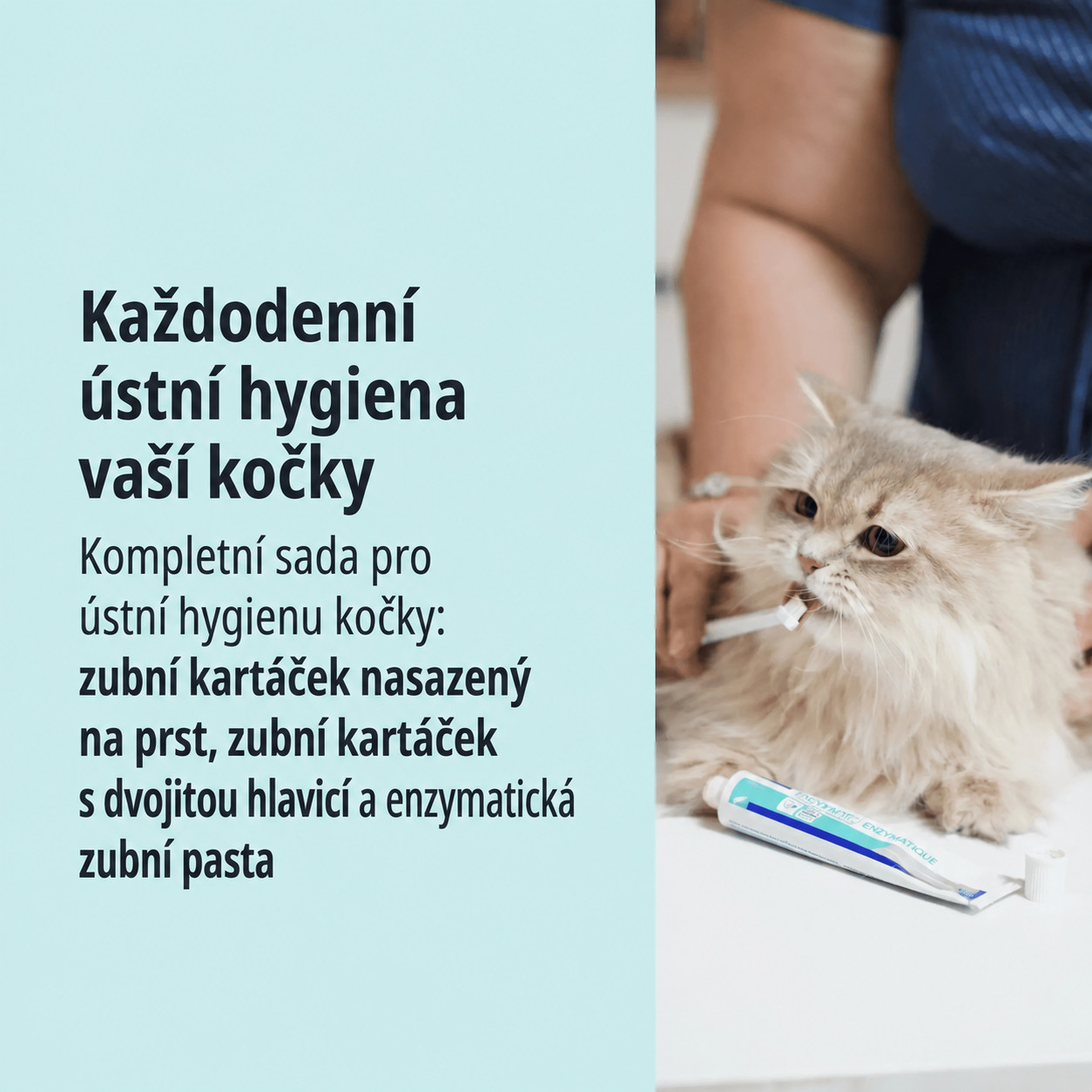 VIRBAC - zubní pasta a kartáček pro psy a kočky - foto 2