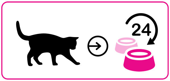 3COTY Cheers! 62. Turkey - mokré krmivo pro kočky - 160g - foto 4