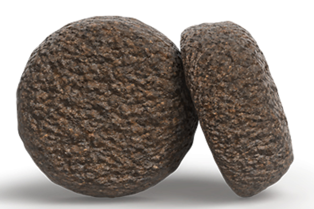 JOSERA Salmon & Potato - suché krmivo pro psy - 900g - foto 2