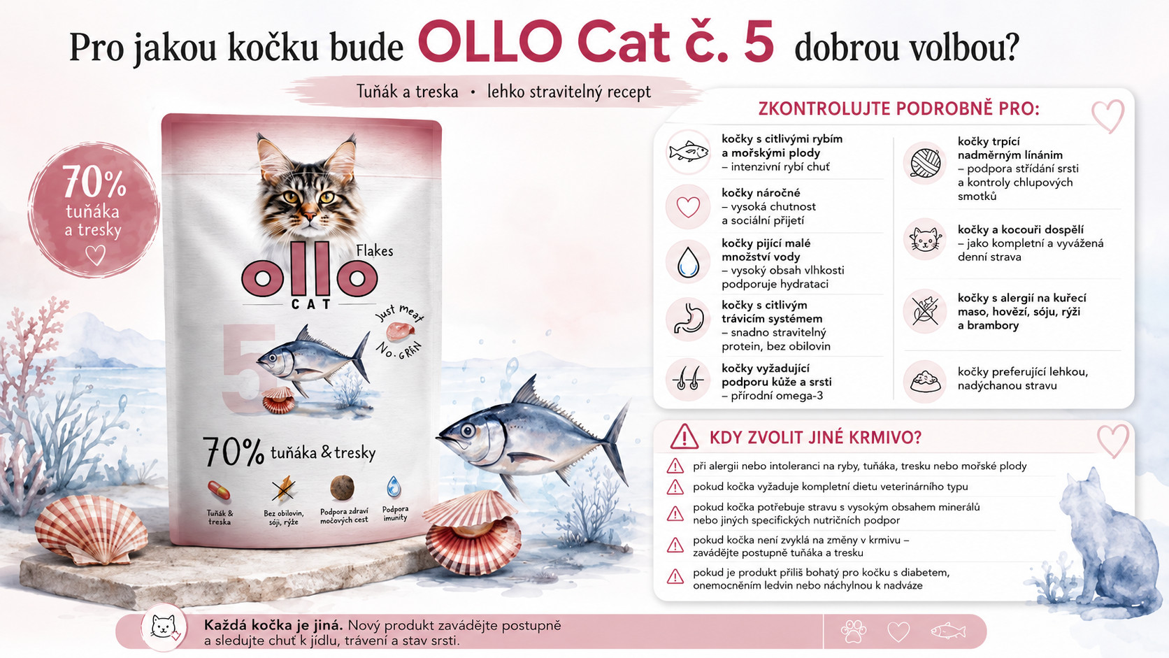 OLLO Cat No. 5 Tuna and scallop - mokré krmivo pro kočky - 85g - foto 5