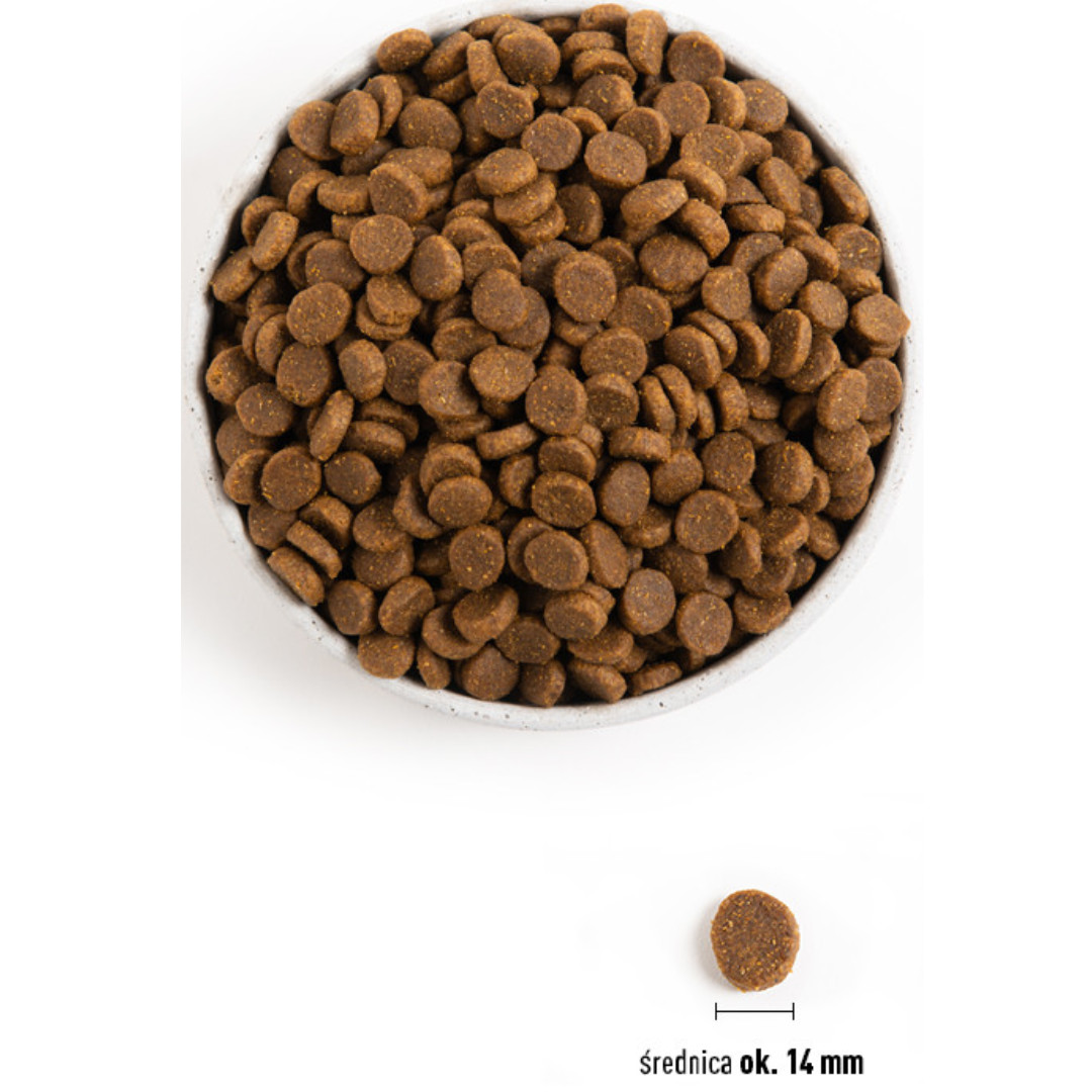 ACANA Dog Senior – suché krmivo pro psy – 11,4 kg - foto 3