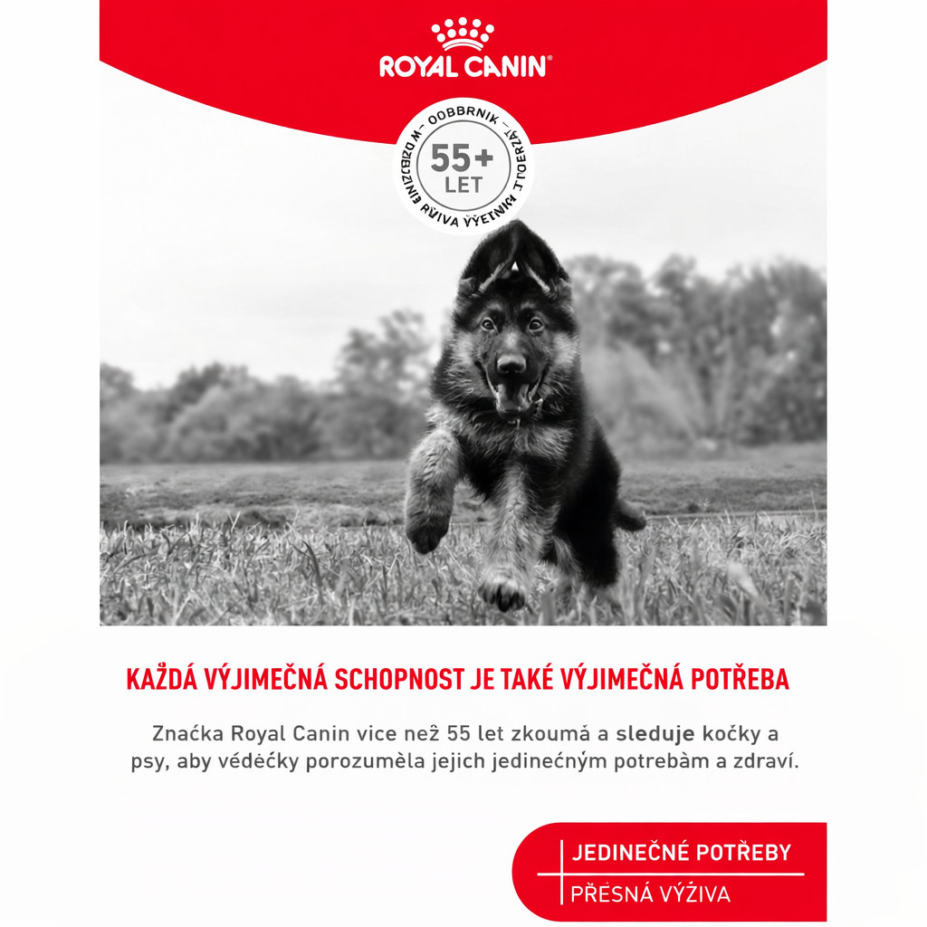 ROYAL CANIN Training Treats – pochoutka pro psy usnadňující proces výcviku - 110 g - foto 7