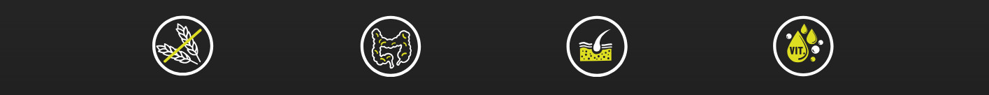 BIOFEED Tasty Dogs Life Poultry - vlhké krmivo pro psy - 500g - foto 1