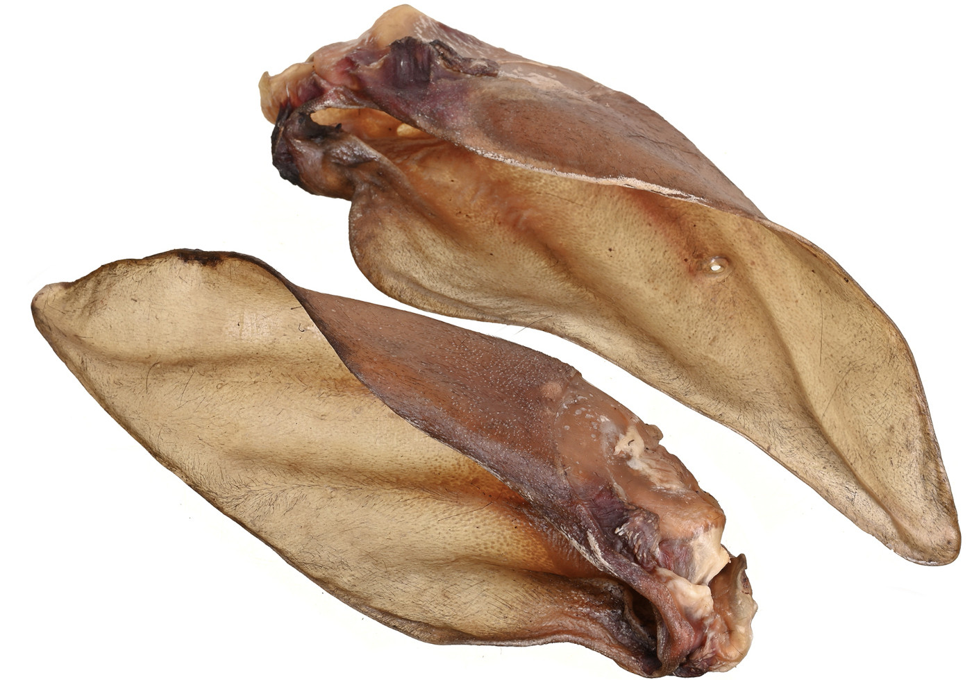 PETITTO Beef ear with cartilage - pamlsek pro psa - 10 - foto 2