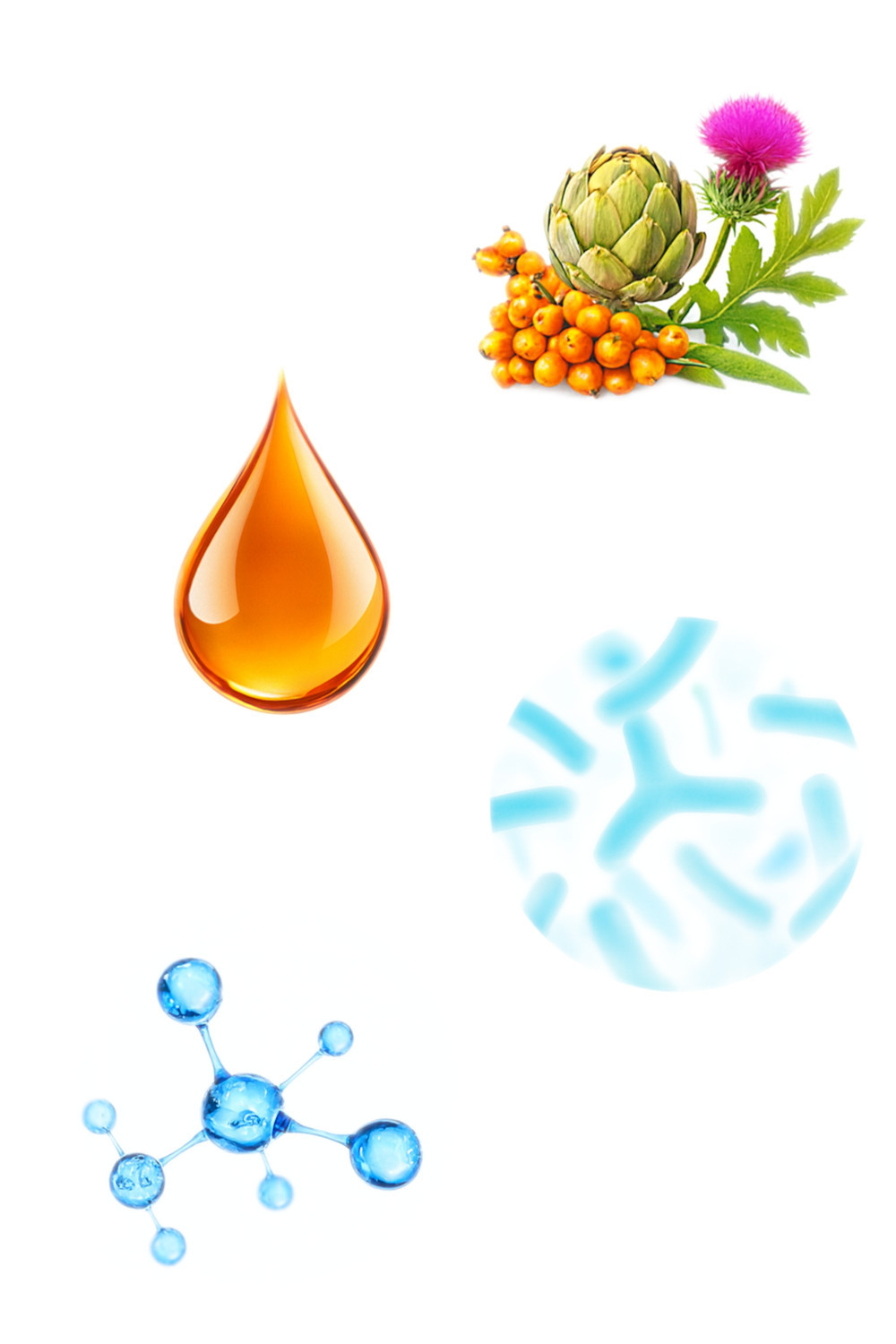 BIOFEED Euphoria Fresh Adult Turkey with rabbit XS/S - suché krmivo pro psy - 500g - foto 4