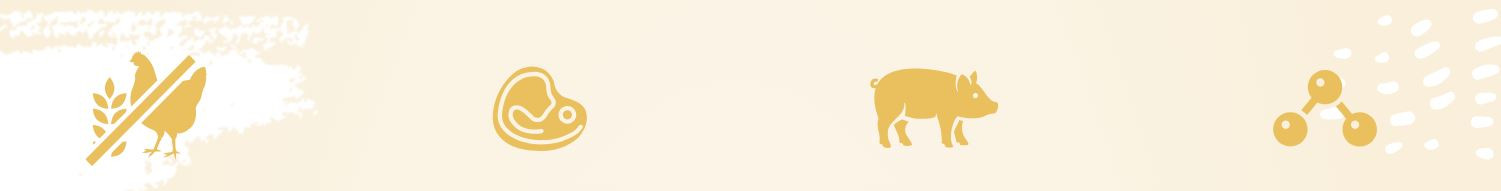 EUPHORIA Fresh Adult Pork with goose XS/S - suché krmivo pro psy - 500g - foto 1