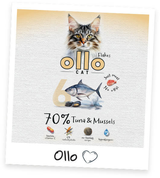 OLLO Cat No. 6 Tuna and mussels - mokré krmivo pro kočky - 85g - foto 7