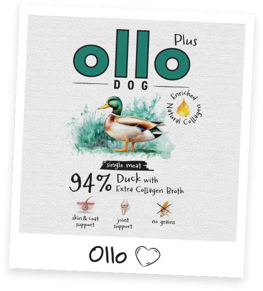 OLLO Plus Collagen Mono Duck - vlhké krmivo pro psy - 400g - foto 3