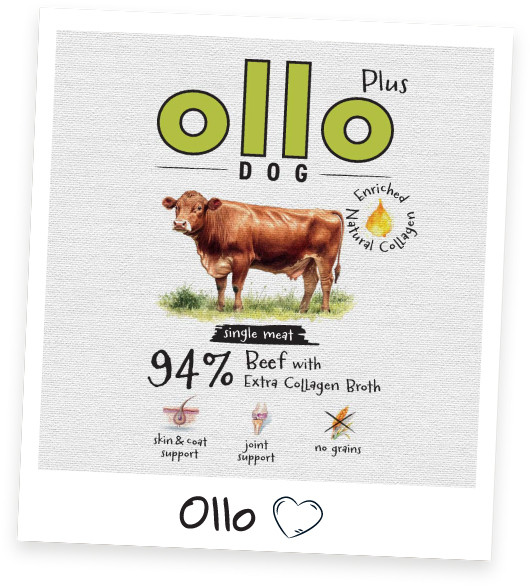 OLLO Plus Collagen Mono Beef - vlhké krmivo pro psy - 400g - foto 3