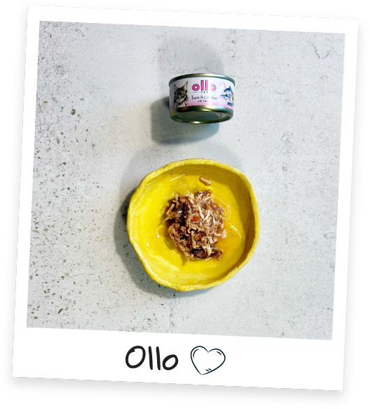 OLLO Cat nr 2 Tuna & Chicken with salmon in broth - mokré krmivo pro kočky - 70g - foto 4