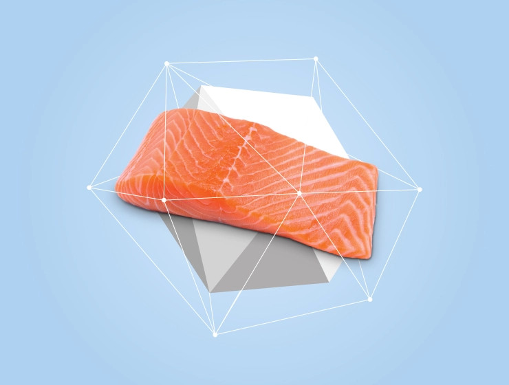 NATURE'S PROTECTION Mini Extra Salmon - suché krmivo pro psy - 7,5kg - foto 3