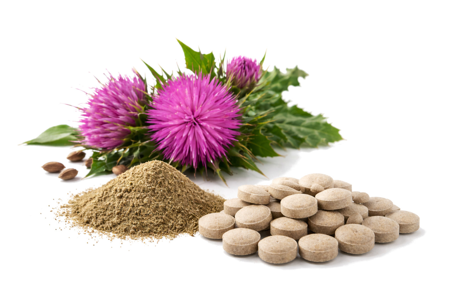 POKUSA RawDietLine Milk thistle extract - doplňky stravy pro psy a kočky - 120 ks - foto 2