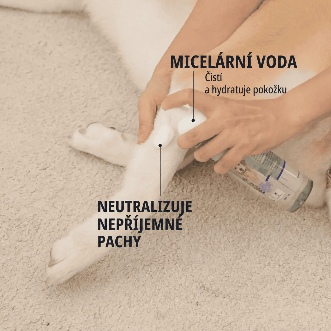 VIRBAC Allerderm Foam - šampon pro psy a kočky - 100 ml - foto 2