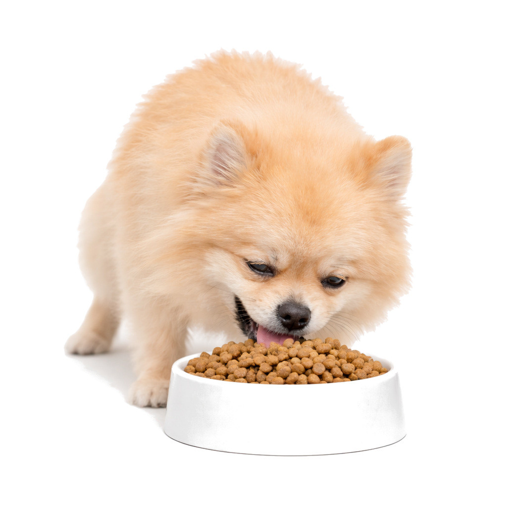 JOHN DOG Good Form Adult Mini Veal with lamb - suché krmivo pro psy - 12 kg - foto 4