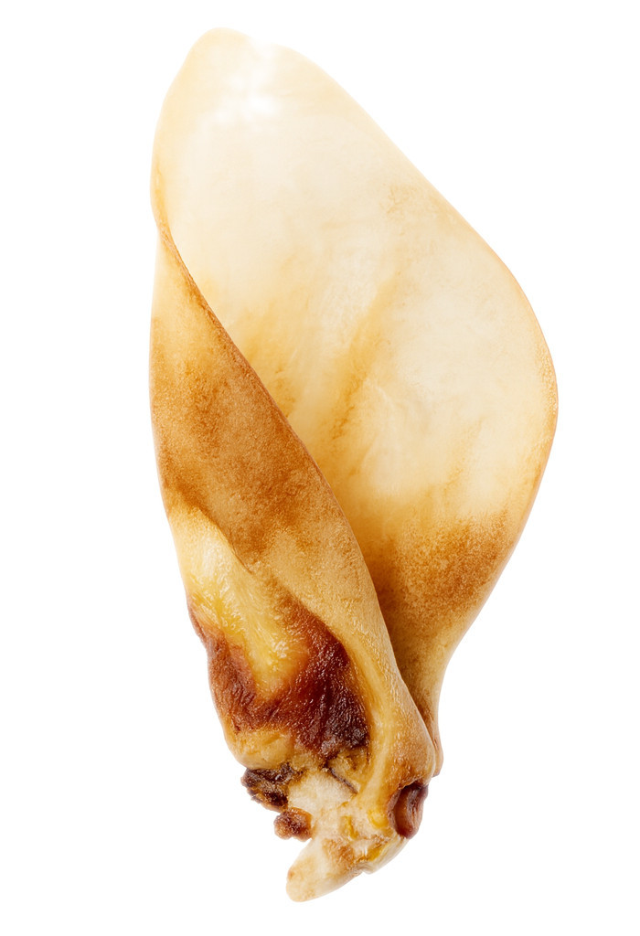 JOHN DOG Beef ear - pamlsek pro psa - 1 - foto 2