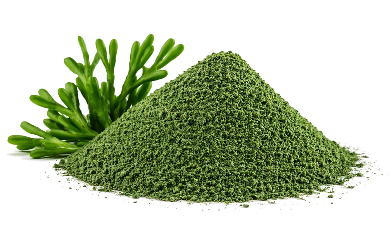 POKUSA RawDietLine Alga - doplňky stravy pro psy a kočky - 350g - foto 2