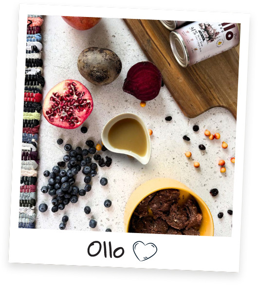 OLLO Plus Collagen Mono Wild boar - vlhké krmivo pro psy - 400g - foto 4