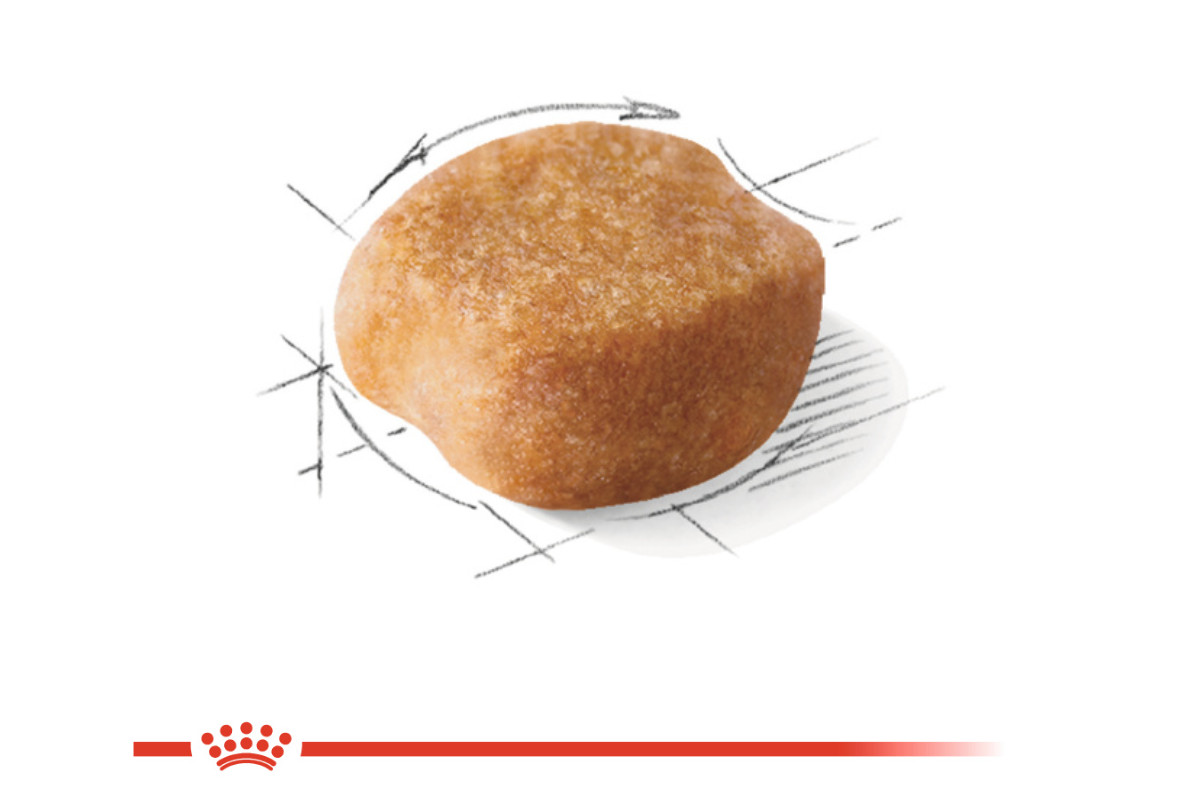 ROYAL CANIN BHN Yorkshire Terrier Adult - suché krmivo pro psy - 3kg - foto 2