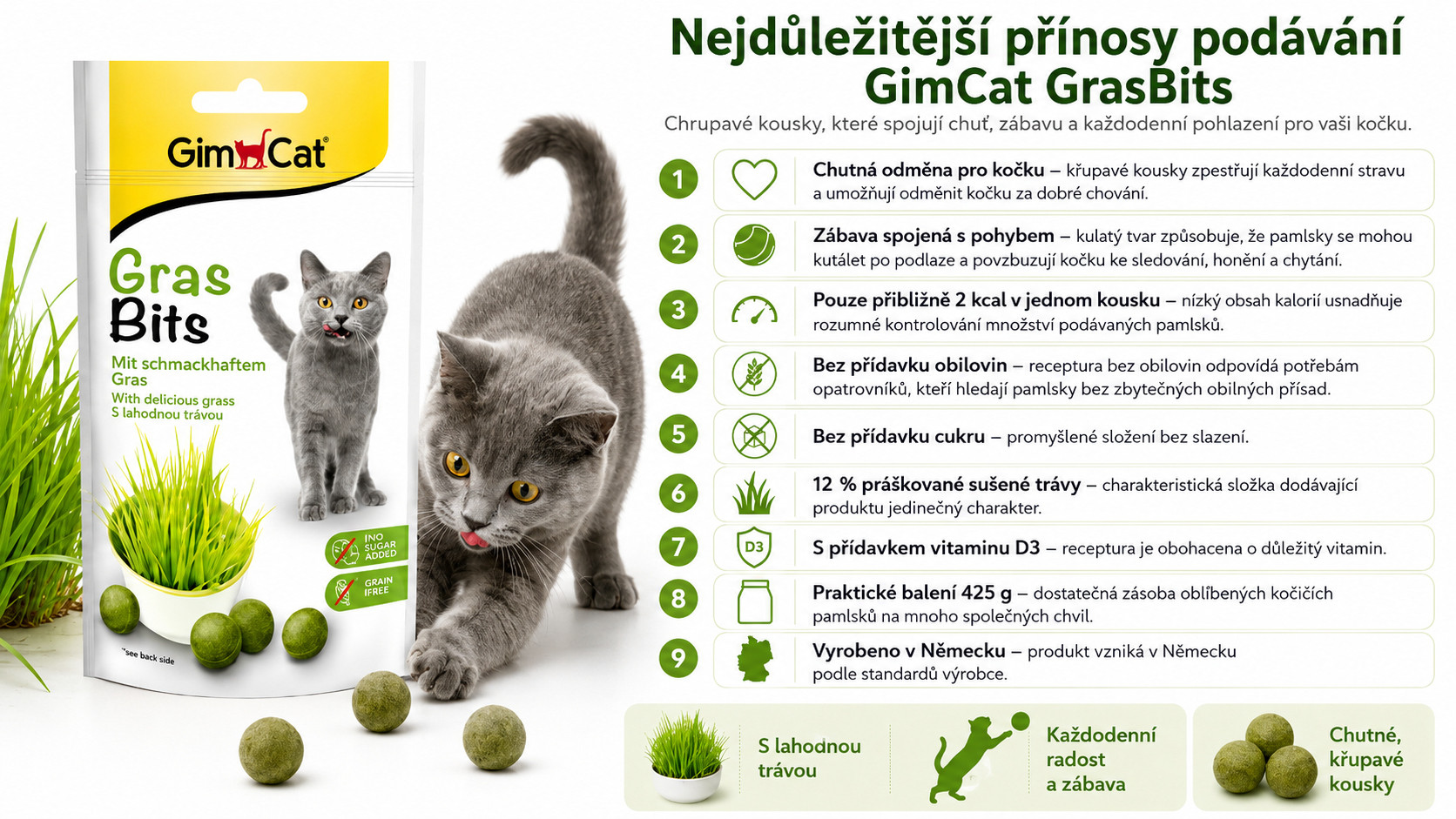 GIMCAT GrasBits Křupavé travní kousky – pamlsek pro kočku – 425g - foto 1