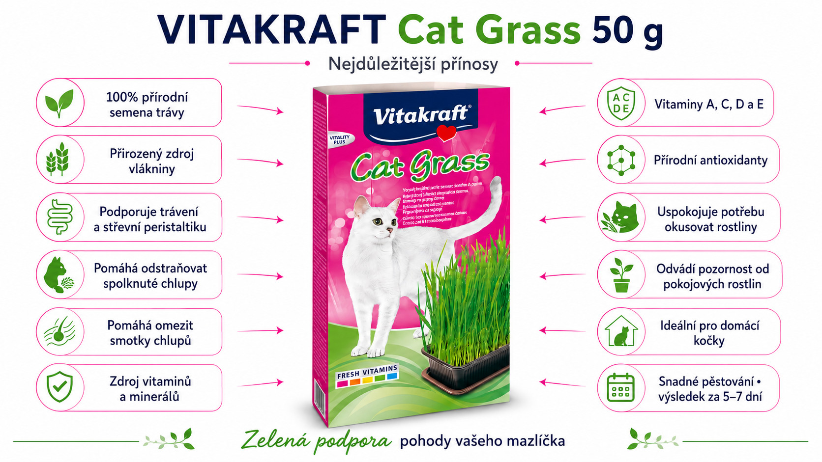 VITAKRAFT Cat Grass - travní semena - 50 g - foto 1