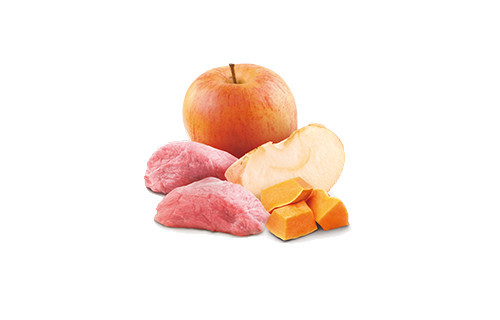 FARMINA N&D Pumpkin Boar, Pumpkin & Apple - vlhké krmivo pro kočky - 70 g - foto 3