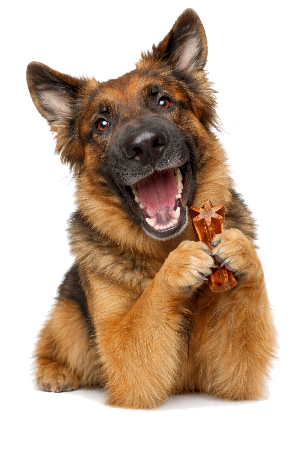 JOSERA Denties Duck with carrot - pochoutka pro psy - 180g - foto 4