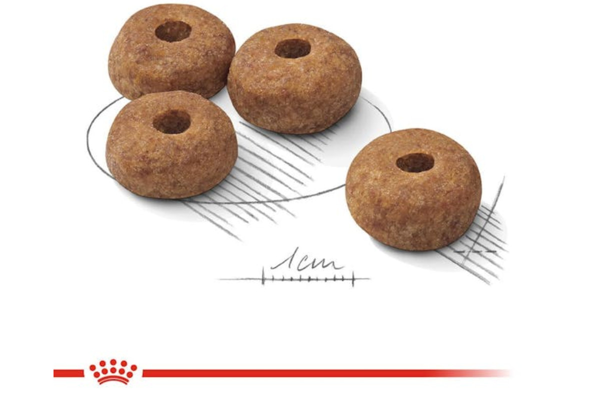 ROYAL CANIN CCN Medium Sterilised Adult - suché krmivo pro psy - 12 kg - foto 2