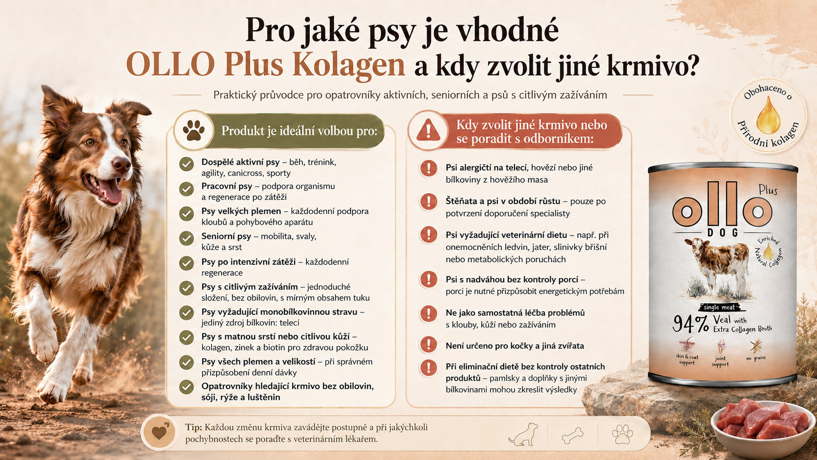 OLLO Plus Collagen Mono Veal - vlhké krmivo pro psy - 800g - foto 5