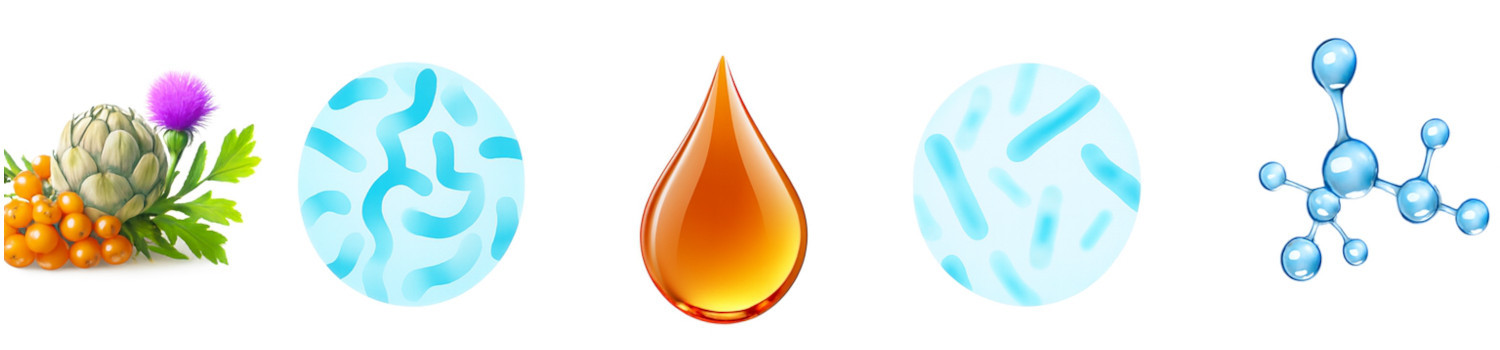 BIOFEED Euphoria Fresh Adult Pork and beef XS/S - suché krmivo pro psy - 500g - foto 4