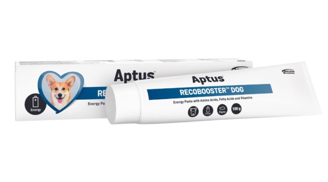 APTUS Recobooster Dog Nutrition and appetite - doplňky pro psy – 100 g - foto 1