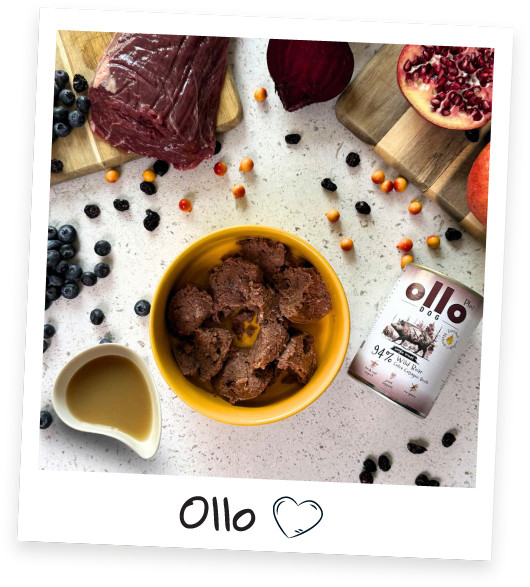 OLLO Plus Collagen Mono Wild boar - vlhké krmivo pro psy - 400g - foto 2