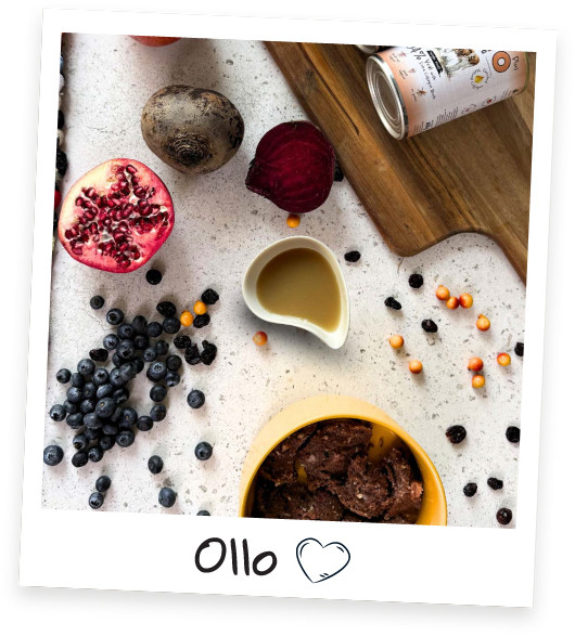 OLLO Plus Collagen Mono Veal - vlhké krmivo pro psy - 400g - foto 4