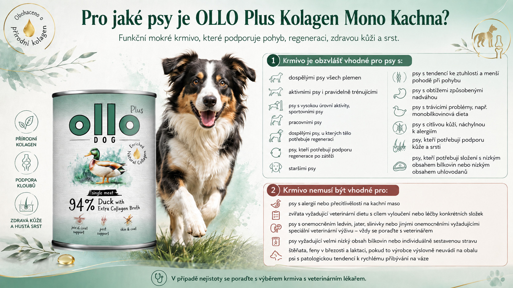 OLLO Plus Collagen Mono Duck - vlhké krmivo pro psy - 400g - foto 5