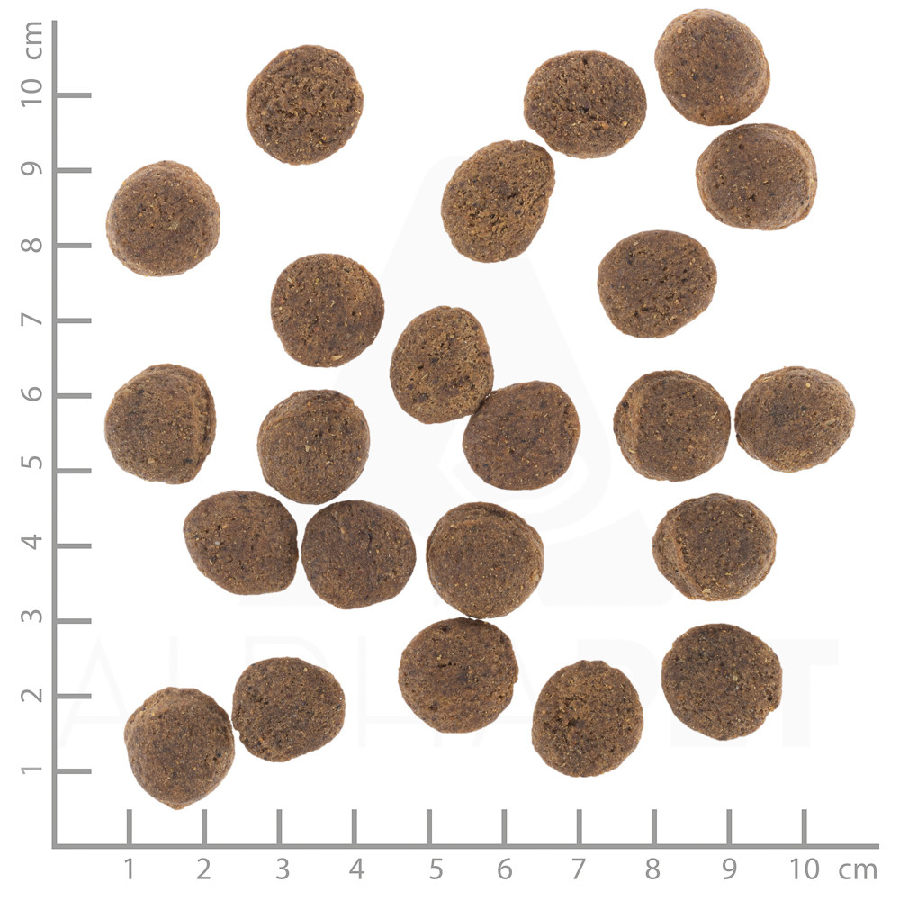 WOLFSBLUT VetLine Gastrointestinal Duck - suché krmivo pro psy - 12kg - foto 4