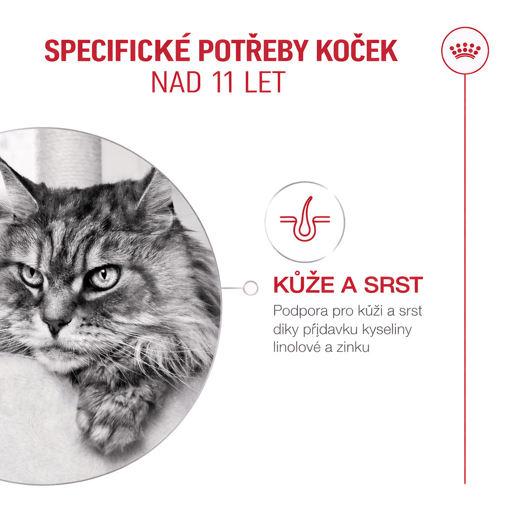 ROYAL CANIN Ageing 11+ - suché krmivo pro kočky - 4kg - foto 9
