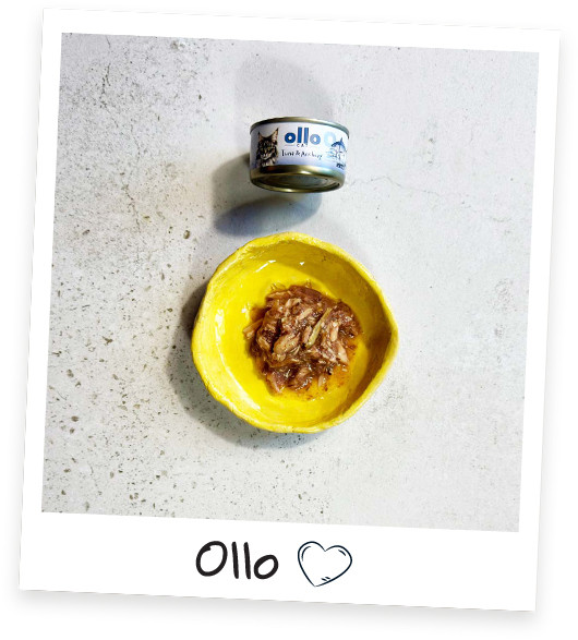 OLLO Cat nr 9 Tuna & Anchovy in broth - mokré krmivo pro kočky - 70g - foto 4