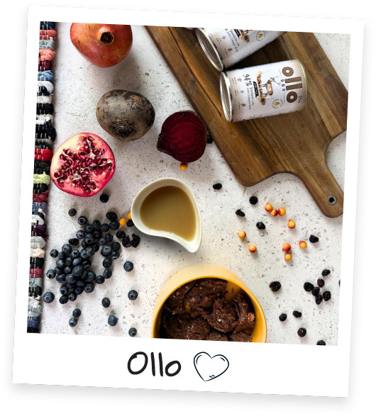 OLLO Plus Collagen Mono Deer - vlhké krmivo pro psy - 400g - foto 2
