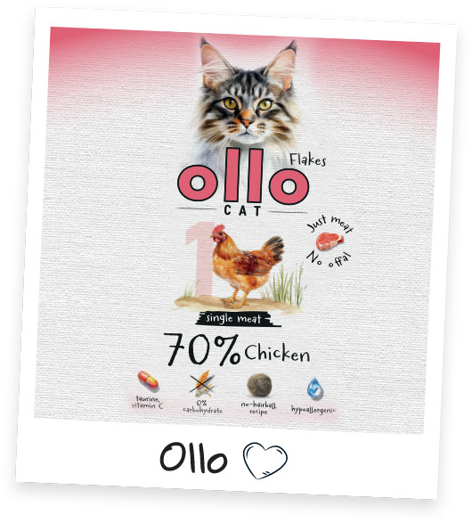 OLLO Cat No. 1 Chicken Mono - mokré krmivo pro kočky - 85g - foto 5