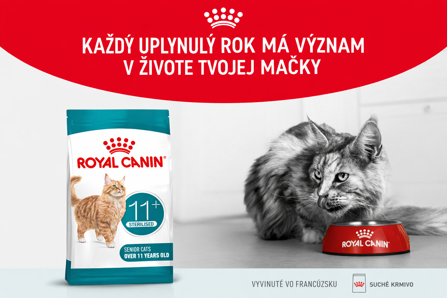 ROYAL CANIN Ageing 11+ Sterilised - suché krmivo pro kočky - 4kg - foto 1