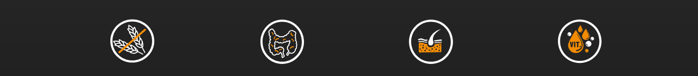 BIOFEED Tasty Dogs Life Duck - vlhké krmivo pro psy - 500g - foto 1