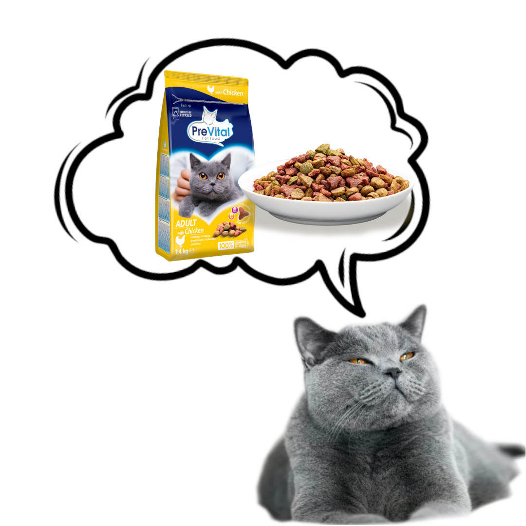 PREVITAL Cat Food Adult s kuřecím - suché krmivo pro kočky - 1,4 kg - foto 5