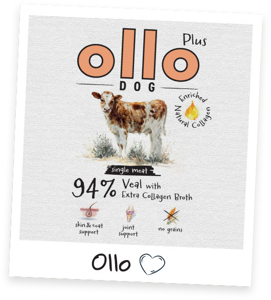 OLLO Plus Collagen Mono Veal - vlhké krmivo pro psy - 800g - foto 2