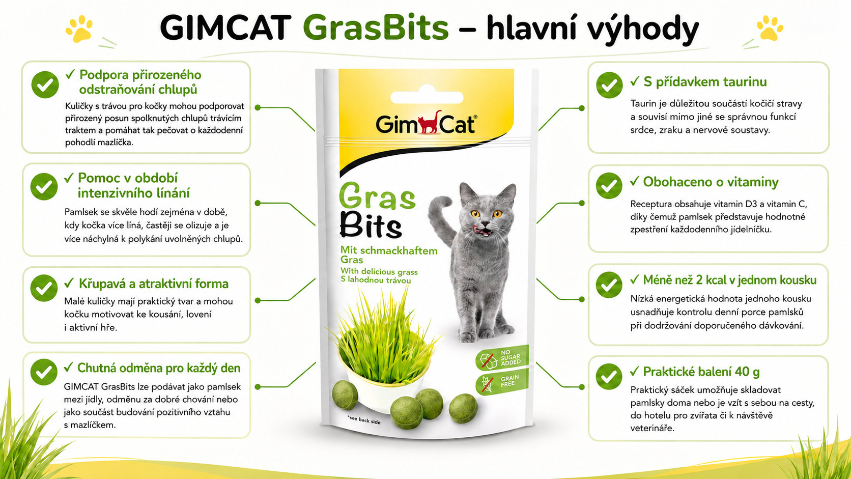 GIMCAT GrasBits Křupavé travní kousky – pamlsek pro kočku – 40g - foto 1