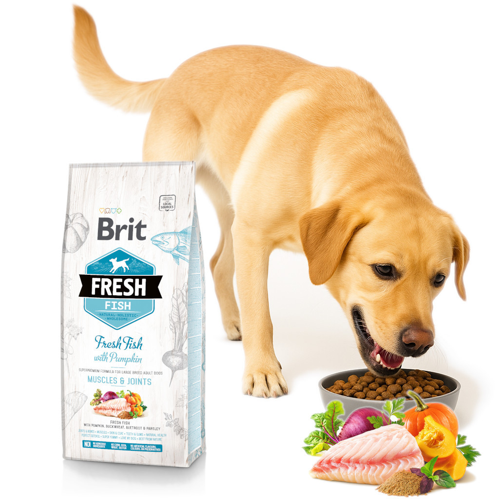 BRIT Fresh Adult Large Muscles & Joints Fish with pumpkin - suché krmivo pro psy - 12kg - foto 3
