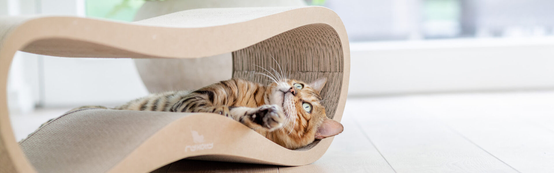 CAT'S BEST NatureGold Podestýlka 20 l - foto 3