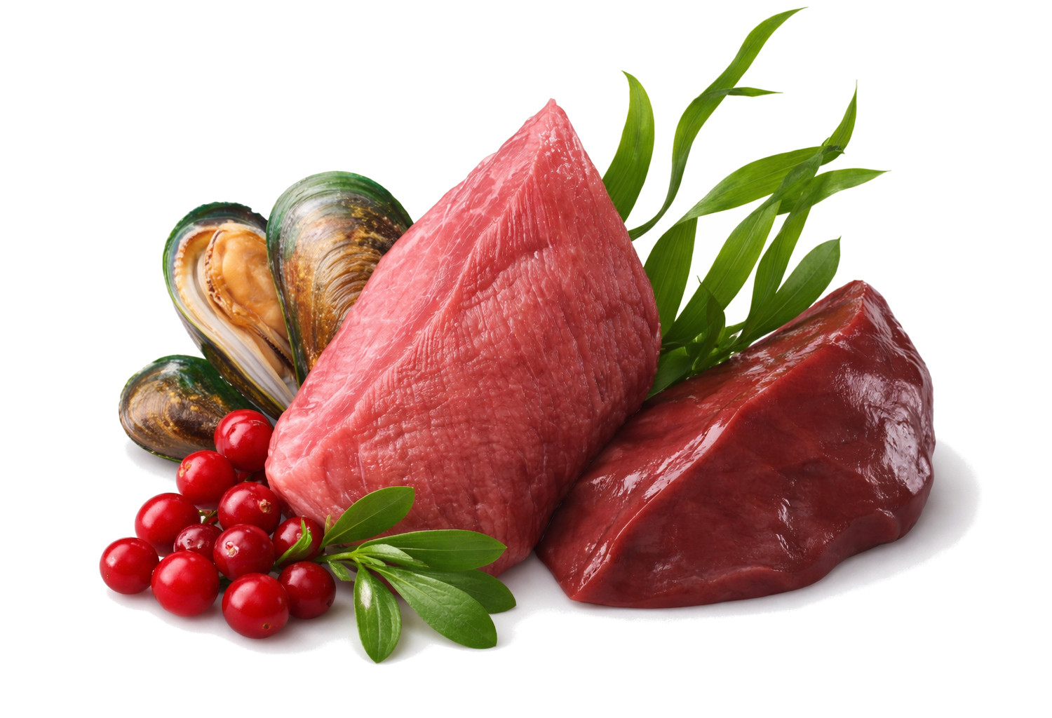 JOHN DOG Berry Line Adult Veal with cranberries - vlhké krmivo pro psy - 400g - foto 3