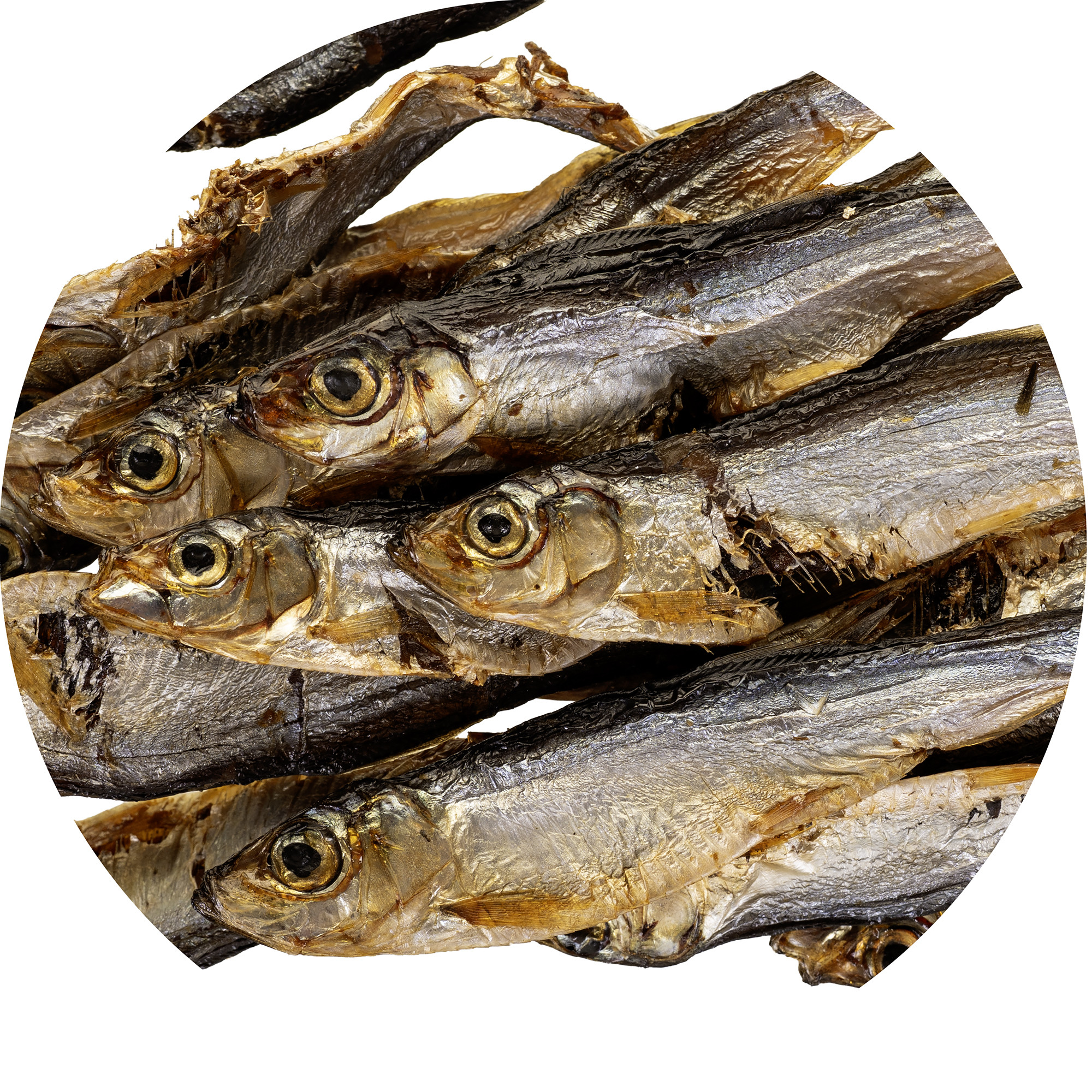 PETITTO Dried sprats - pamlsek pro psa - 500g - foto 3